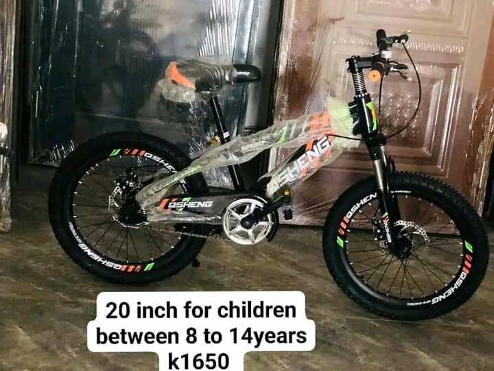 20 inch bike