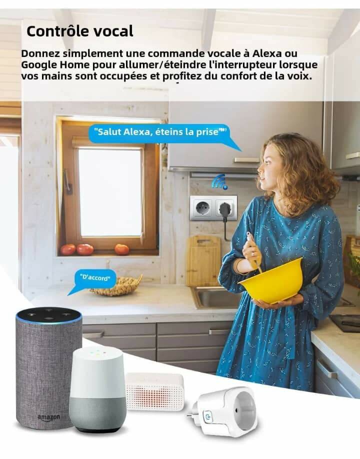 Prise Connectée WiFi 20A