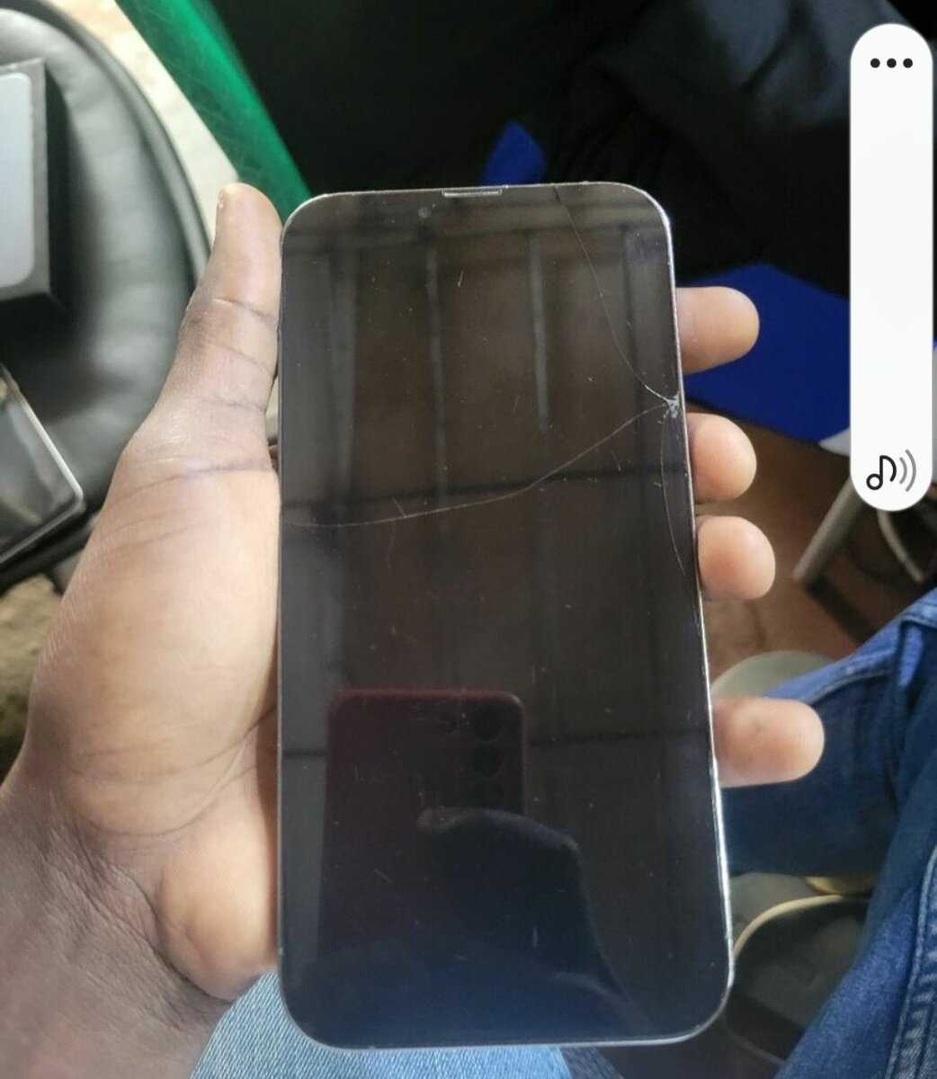 iPhone 13 Pro Max Réparé