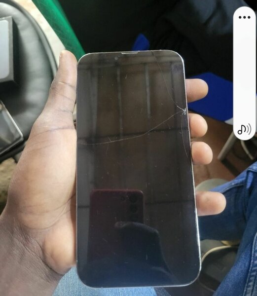 iPhone 13 Pro Max Réparé