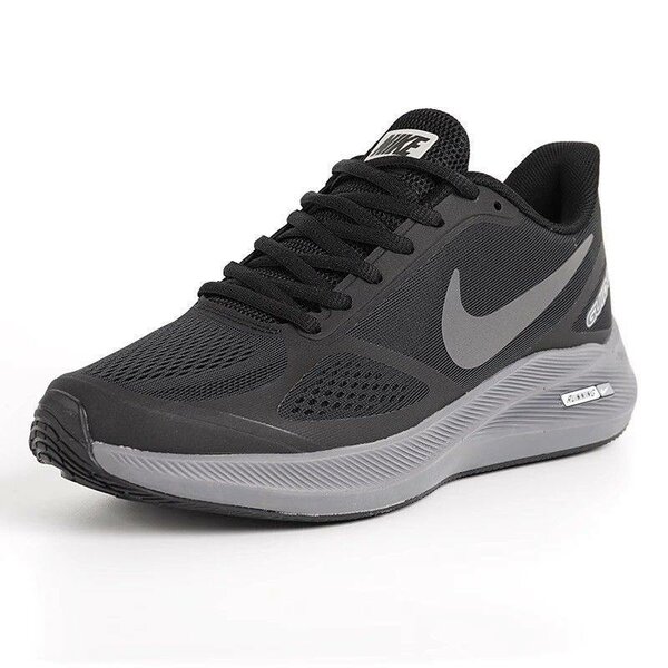 Nike Chaussures Running Homme