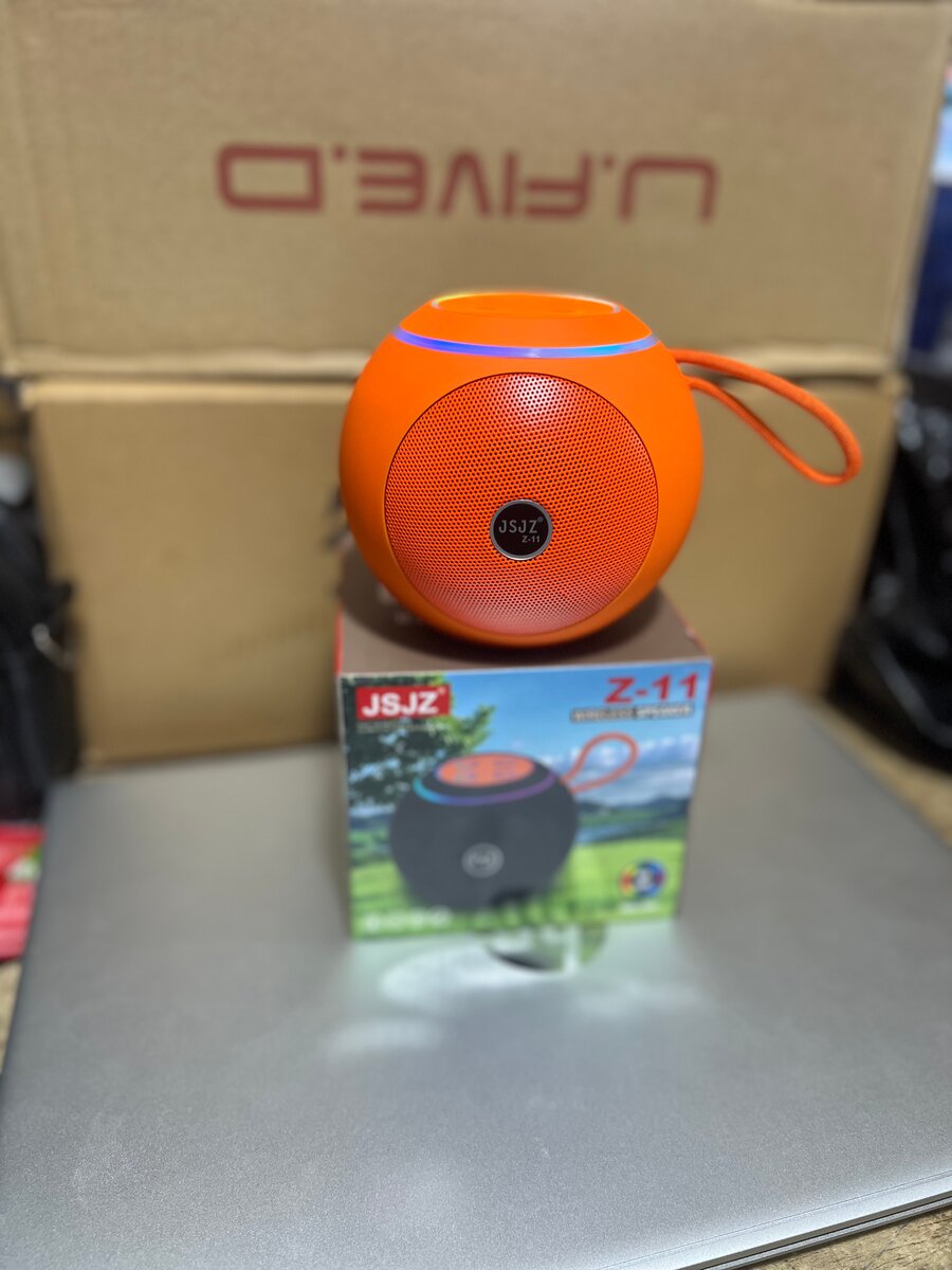 Enceinte Bluetooth Portable Z-11