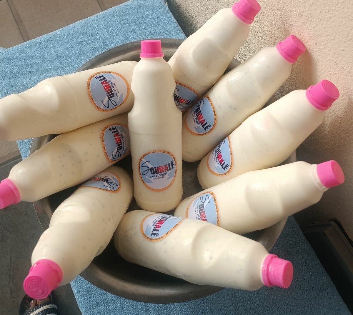 Yaourt Maison Rafraîchissant