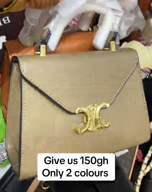 Women's beautiful bag in dark beige color