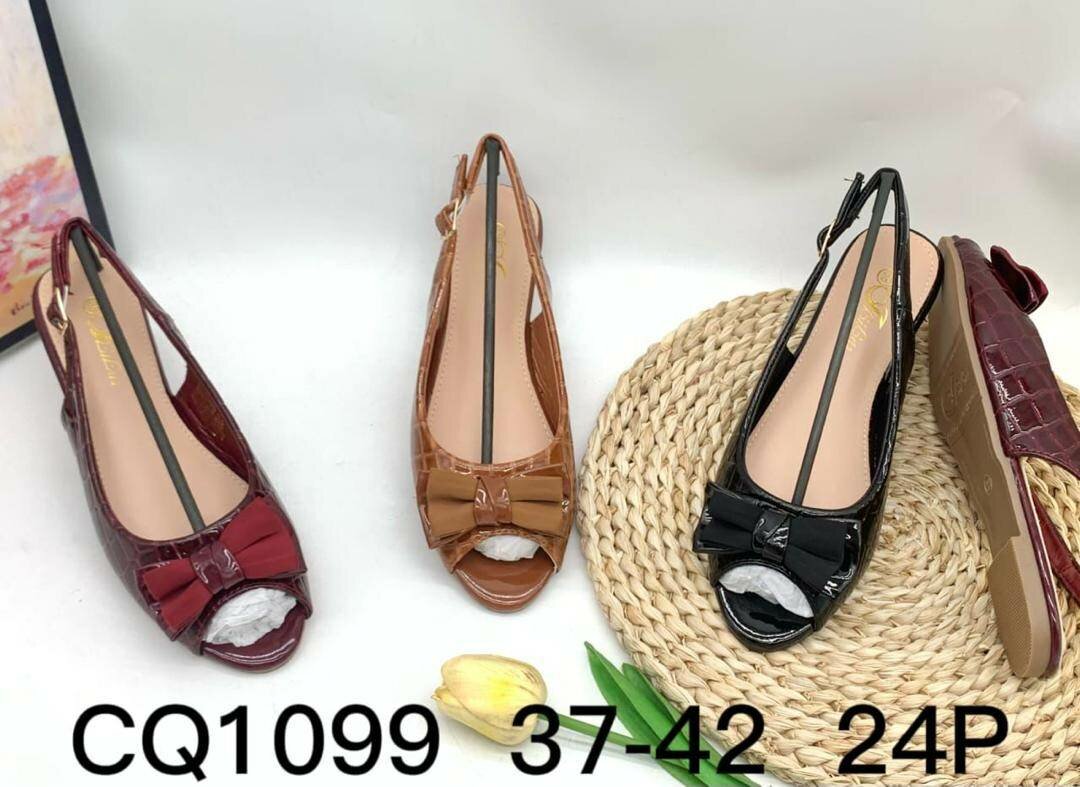 Elegant ladies shoes