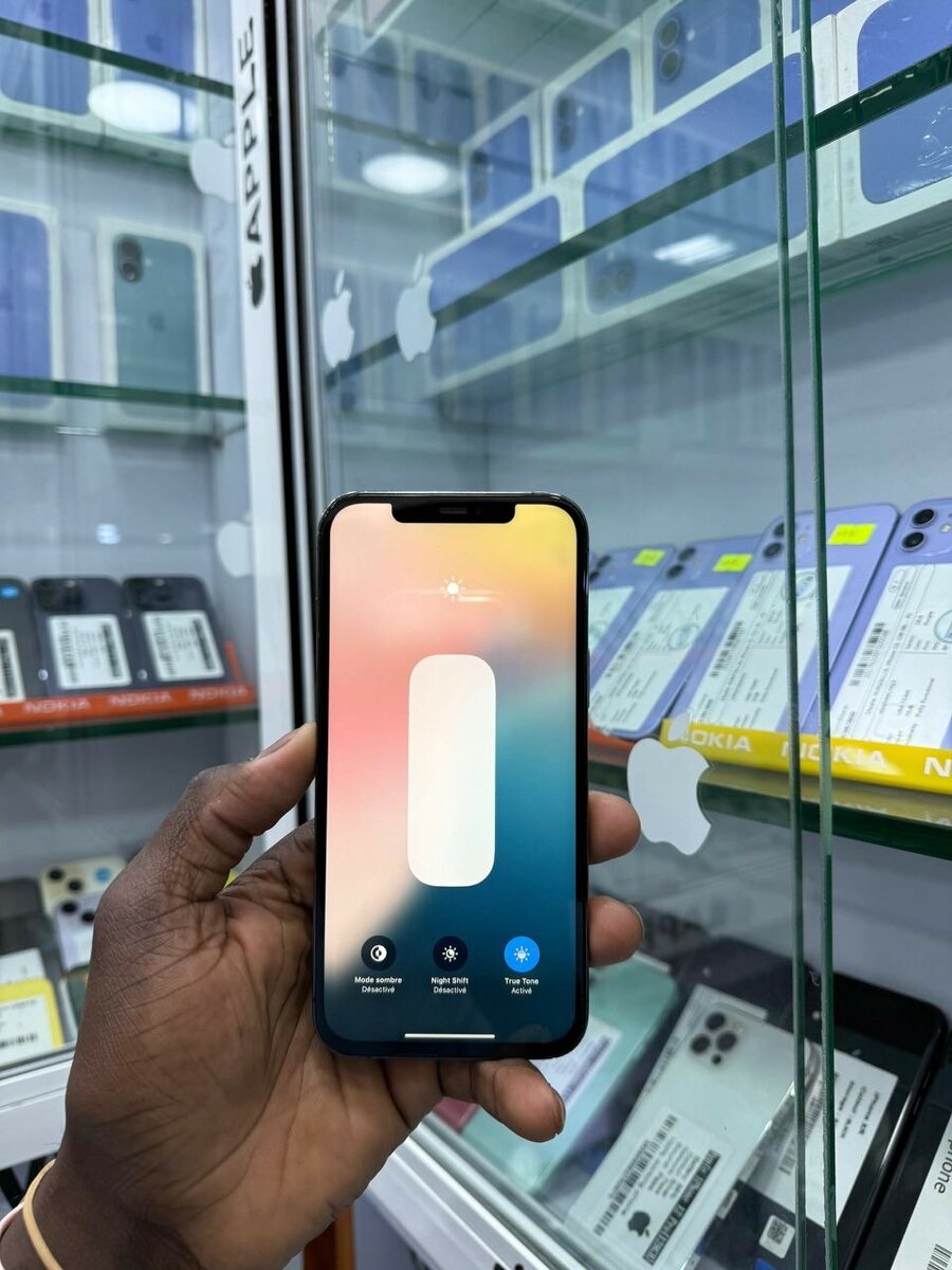 iPhone 12 Pro Max 128go en bon