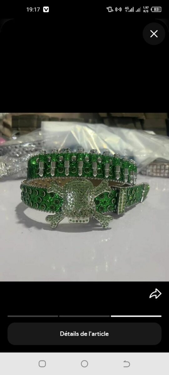 Collier pour Chiens Crâne