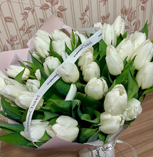 Луковицы голландских тюльпанов