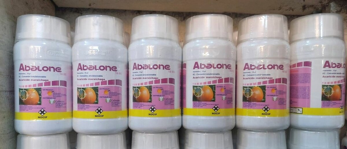 Abalone Insecticide Anti-acariens