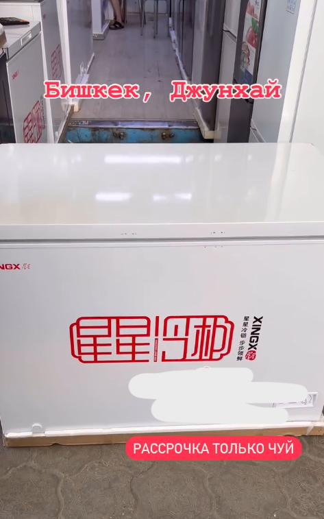 Морозильник ХИНГХ 350 л