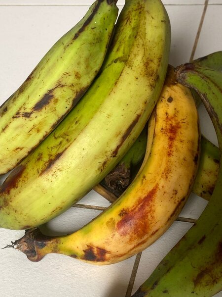 7 Bananes plantains fraîches