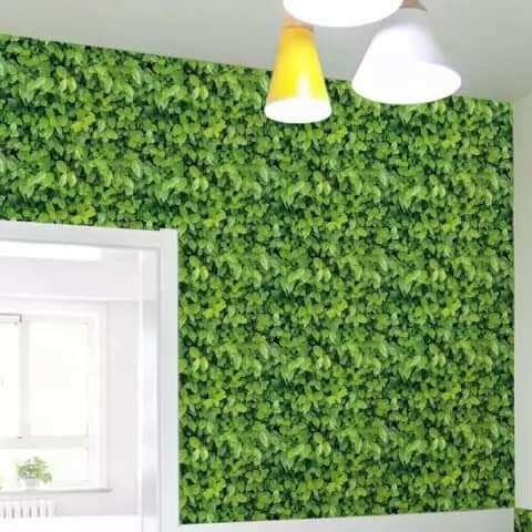 Papier peint feuillage vert