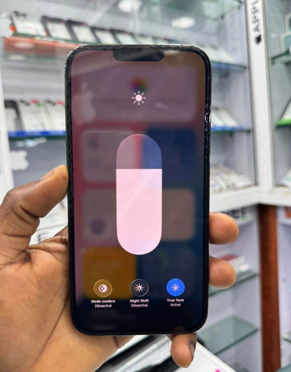 iPhone 13 Pro Max 256Go