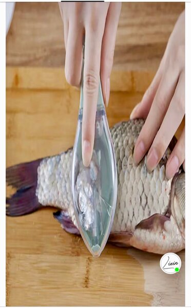 Écailleur de Poisson Efficace