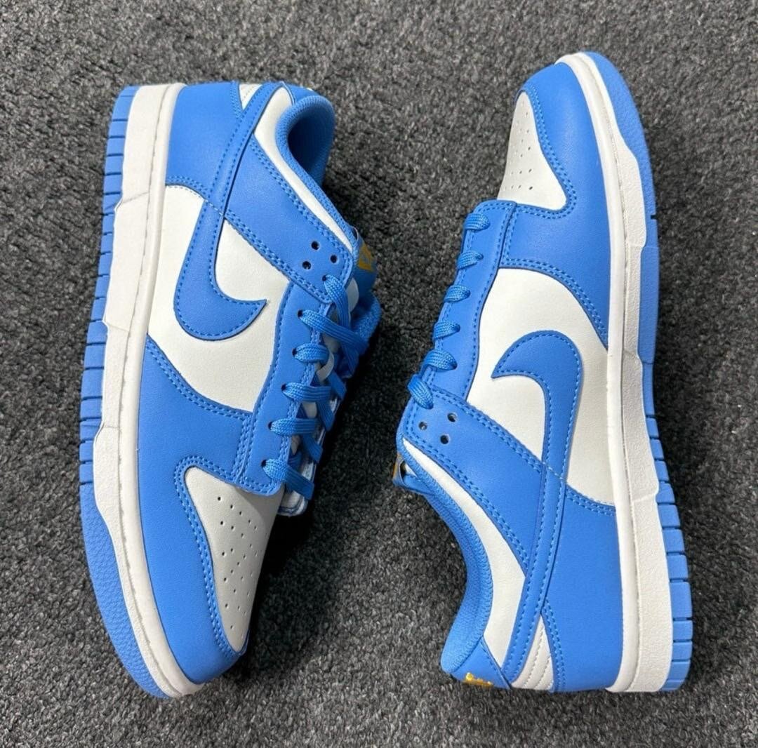 Nike sb dunk(blue and white )