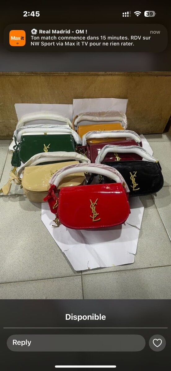 Sacs à Main Élégants en Cuir