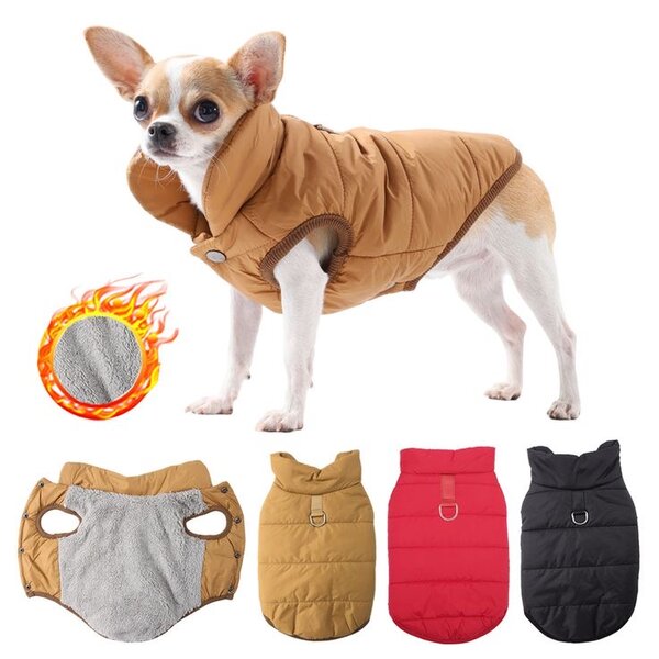 Manteau Hiver pour Chien