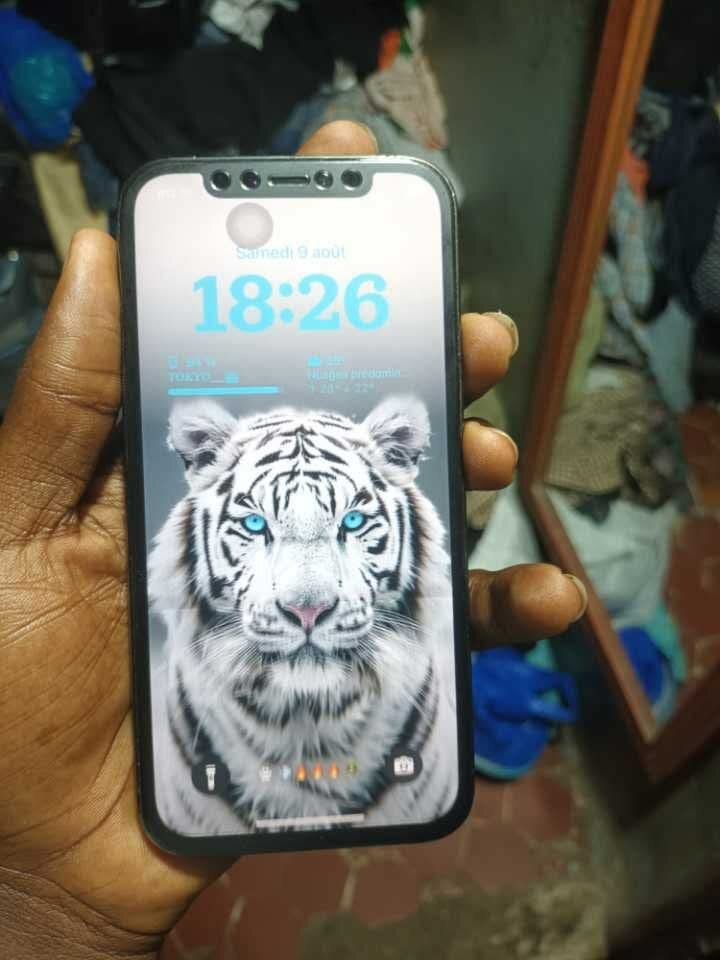 iPhone 12 Pro vitre fissuré