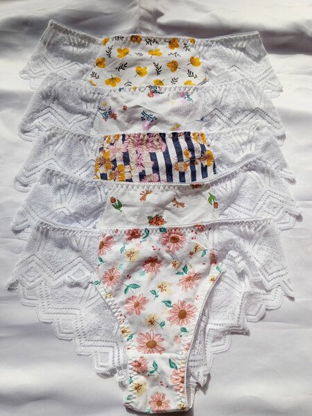 Lot de Culottes en Dentelle