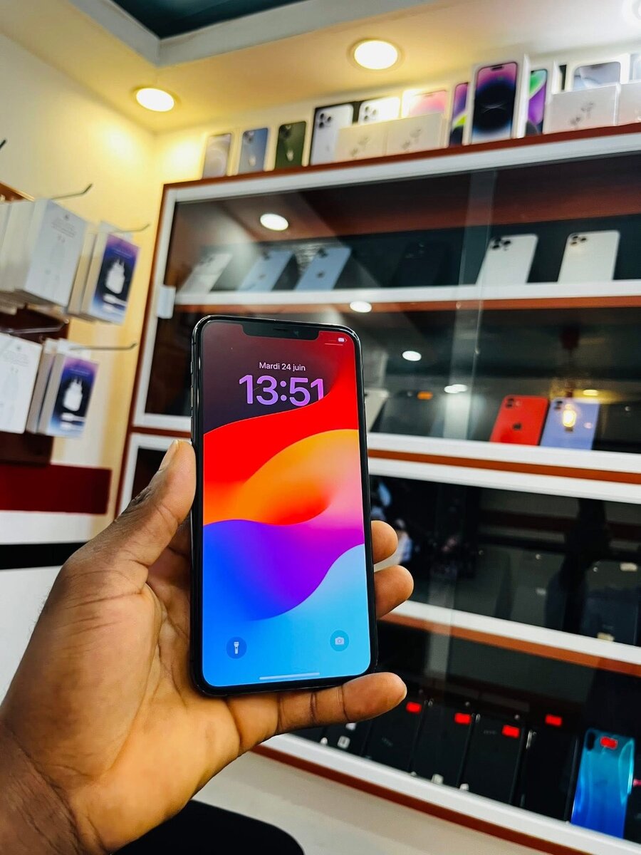 iPhone 11 Pro Max 64Go Gris Sidéral