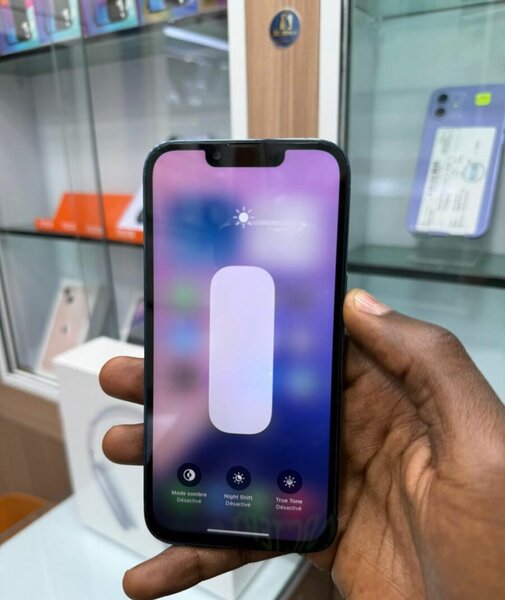 iPhone 13 Pro Max Bleu