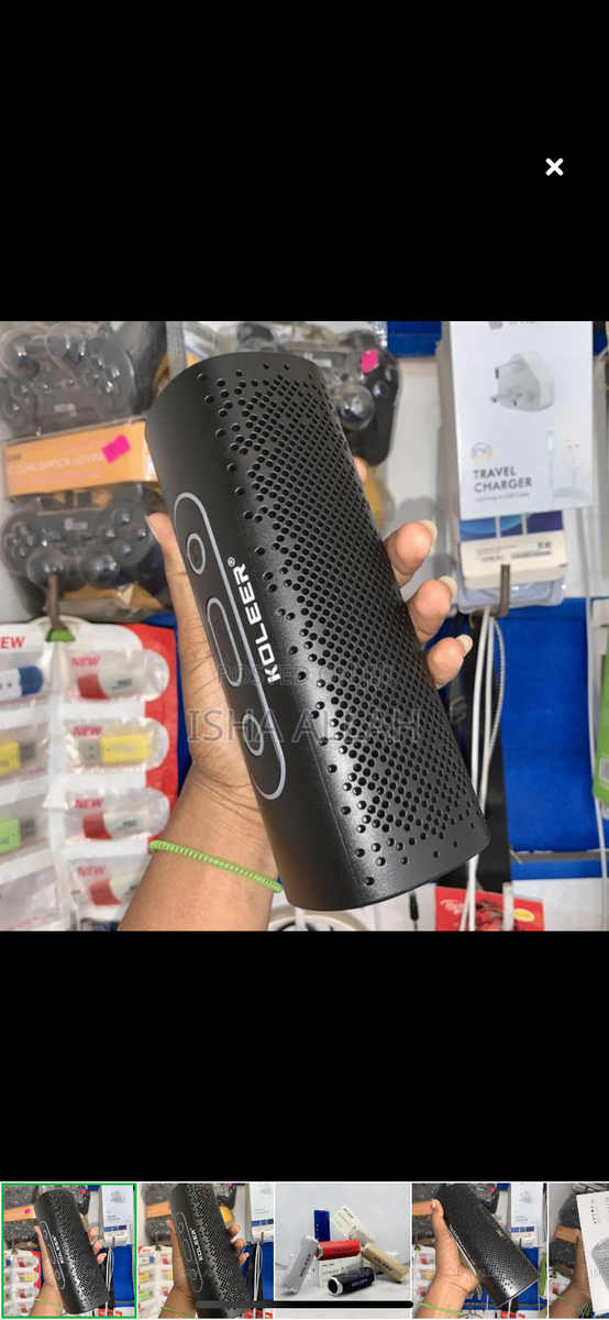 Outdoors portable speakers