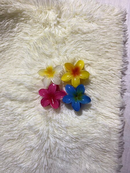 Pinces à cheveux fleurs colorées