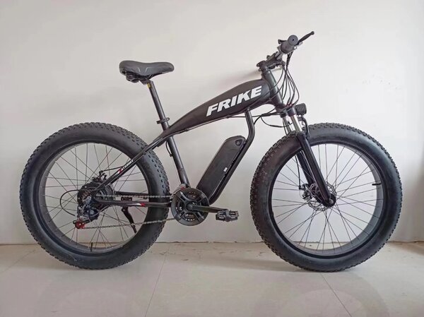 Electric fat tire bicycle