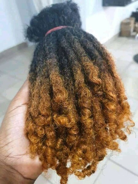 Tige dread locks