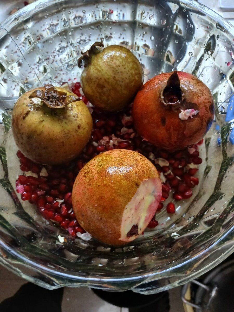 Pomegranate tree