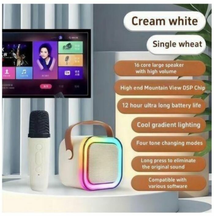 Karaoké Portable Speaker +1Mc