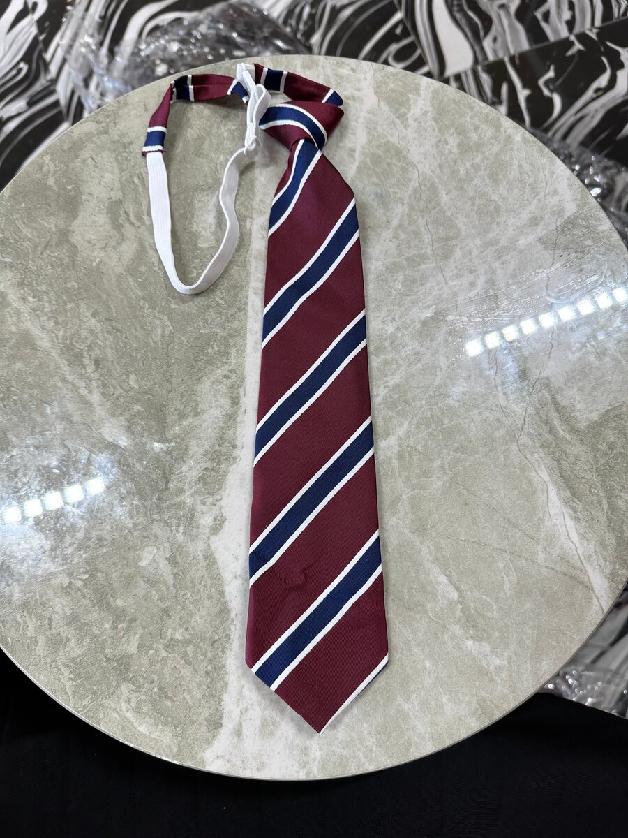 Cravate rayée élégante
