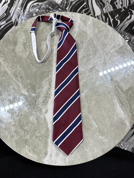Cravate rayée élégante