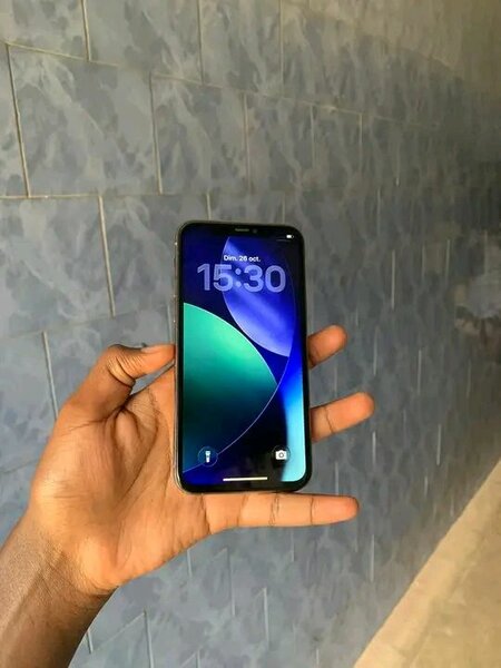 iPhone 12 Pro Max Or