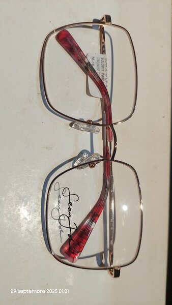 Lunettes carrées légères