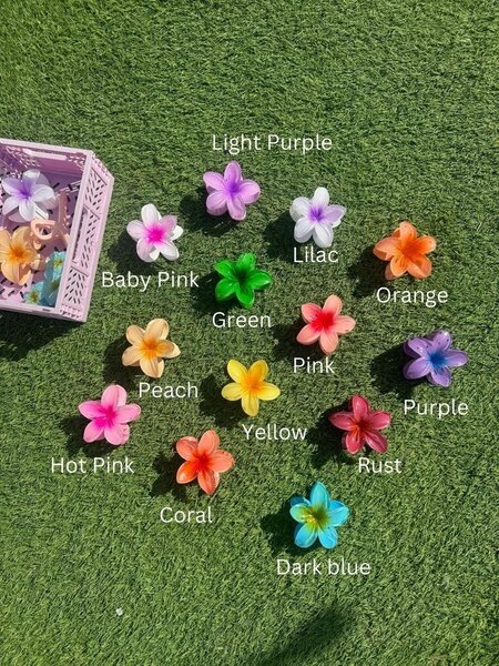 Hawaiian Trendy Claw Clip
