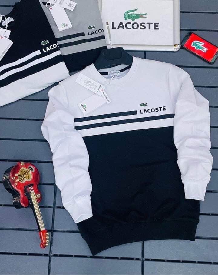 Sweat Lacoste pour homme