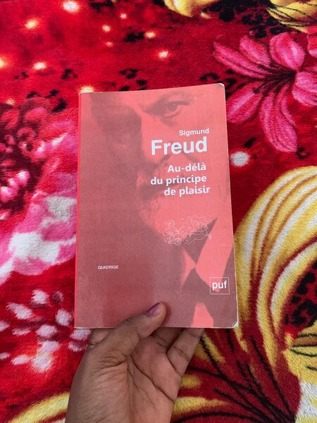 Livre Freud Au-delà du Plaisir