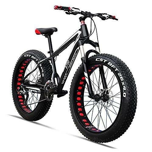 Vélo VTT Fat Bike électrique