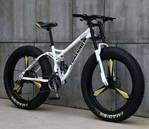 Vélo Fat Bike électrique