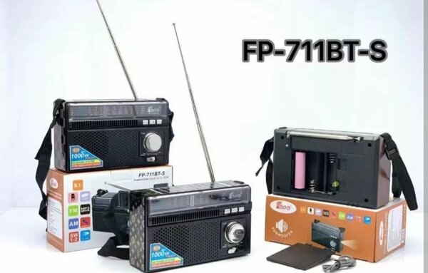 Radio portable solaire FP-711BT-S