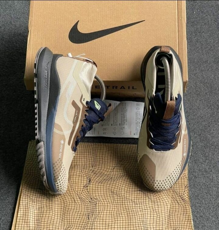 Chaussures de Trail Nike Homme