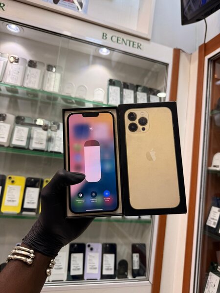iPhone 13 Pro Max