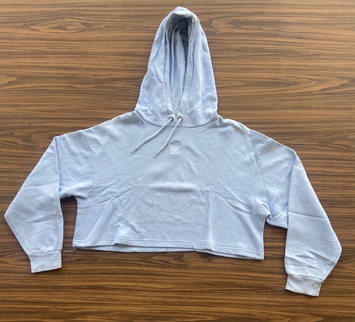 Short hoodie