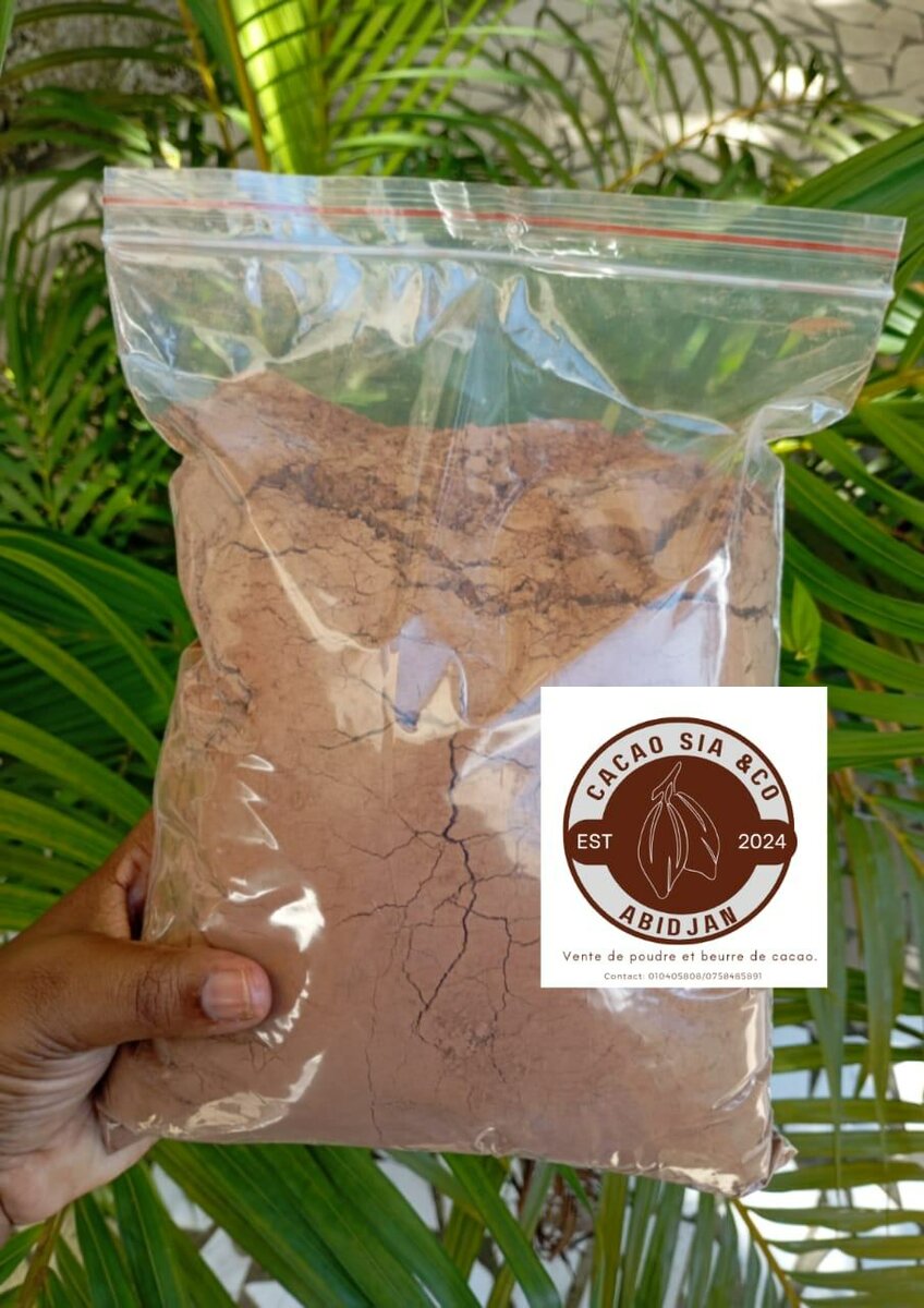 Poudre de Cacao Bio
