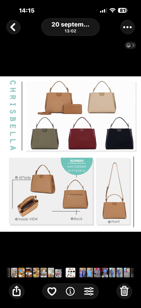 Sac à main Chrisbella élégant