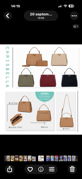 Sac à main Chrisbella élégant