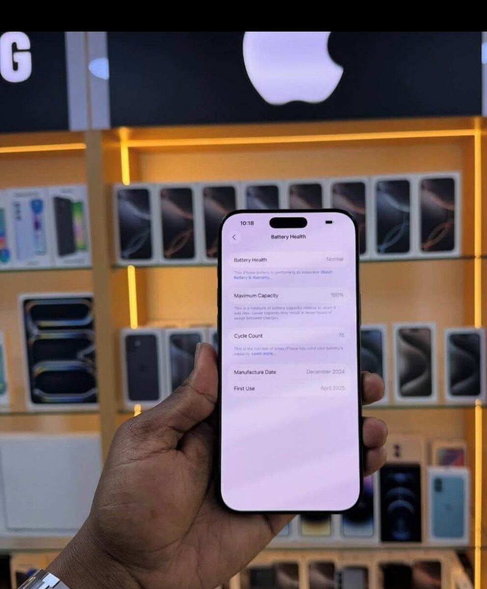 iPhone Pro Max 256GB Noir