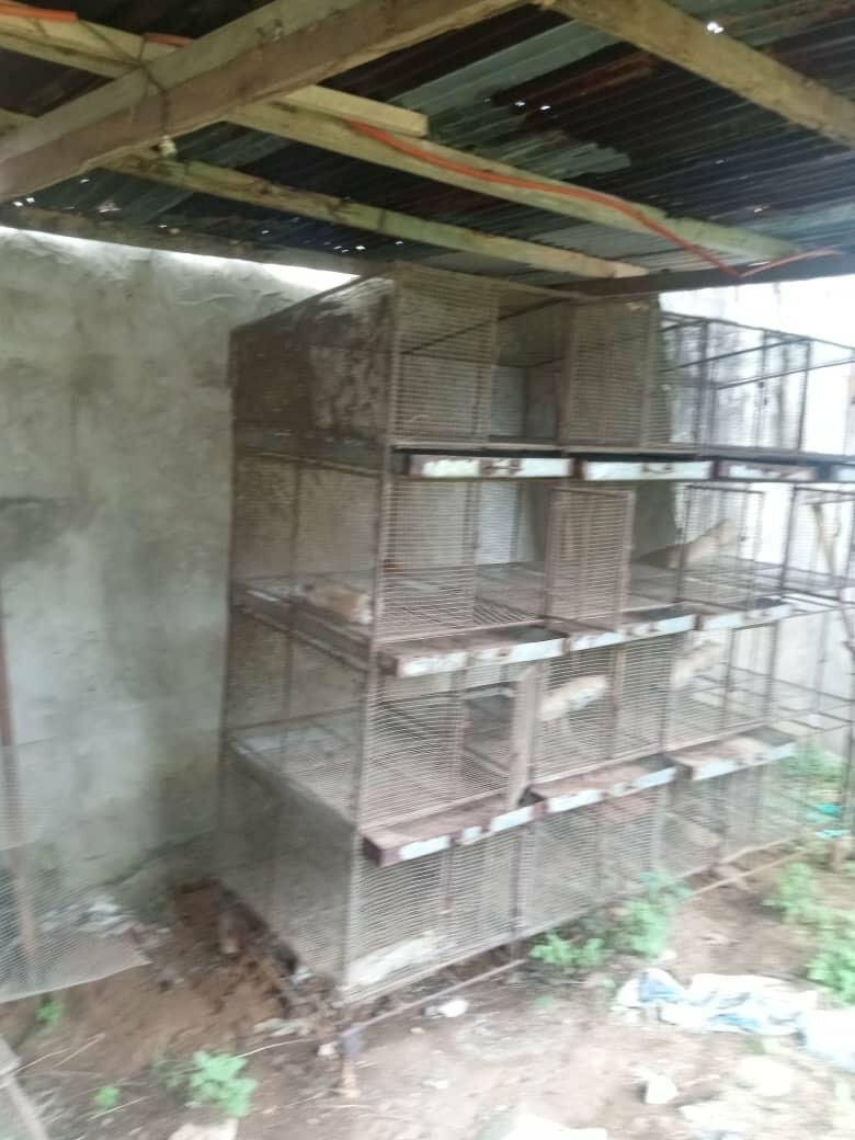 Élevage de cages métalliques