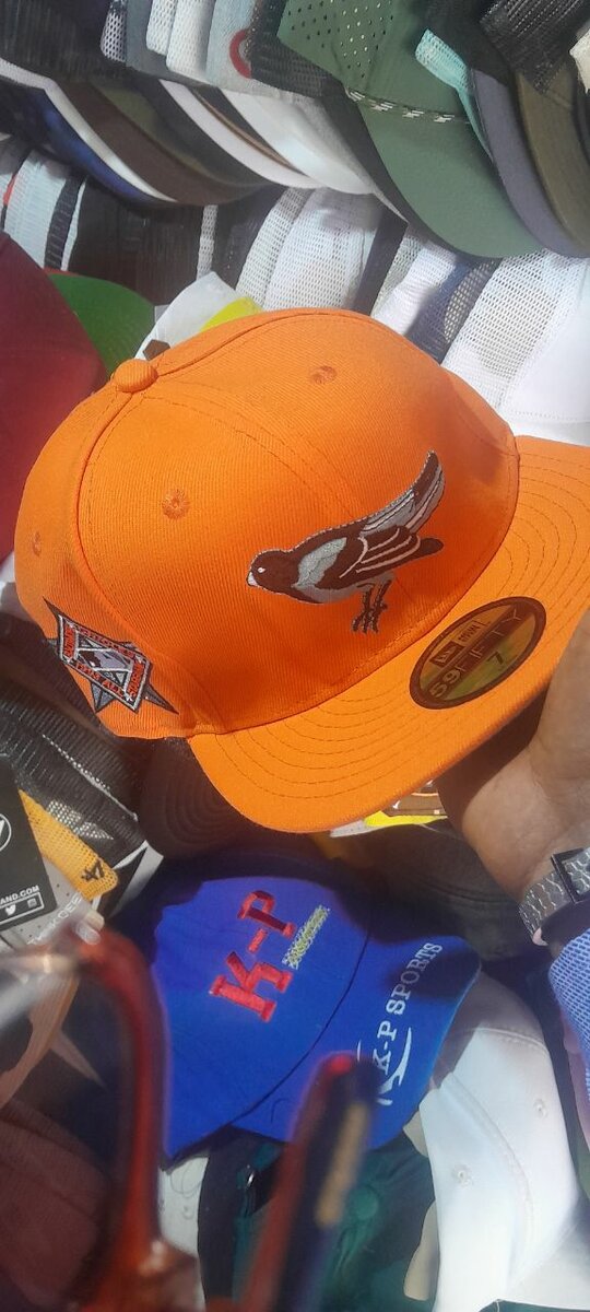 Casquettes élégantes neuves